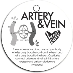 Artery And Vein Lapel Pin