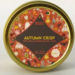 Autumn Crisp Soy Wax Candle Travel Tin