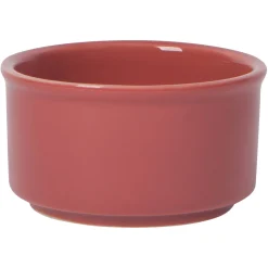 Canyon Ramekins Set Of 4