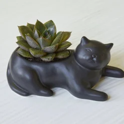 Cosmo The Black Cat Planter