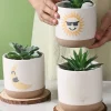 Diy Sun & Moon Planter Pot With Saucer