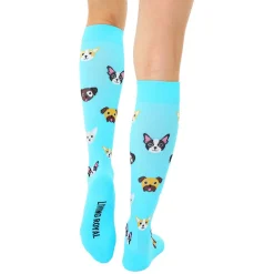 Dog Compression Socks
