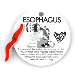 Esophagus Lapel Pin