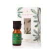 Frasier Fir Aroma Diffuser Oil
