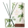 Frasier Fir Reed Diffuser Pine Needle Design
