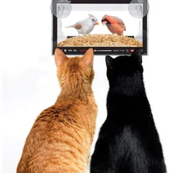 Howligans Live Feed Bird Feeder