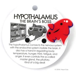 Hypothalmus Lapel Pin