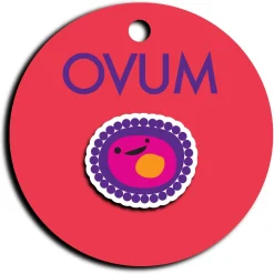 Ovum Lapel Pin