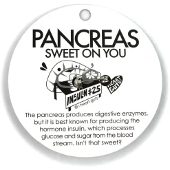 Pancreas Lapel Pin