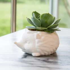 Prickles The Hedgehog Planter