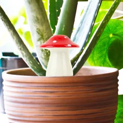 Self Watering Mushroom