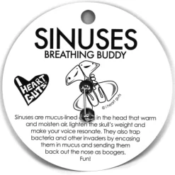 Sinus Lapel Pin