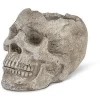 Skull Planter / Tealite Holder Small