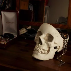 Skull Tidy