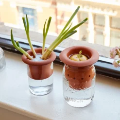 Terracotta Regrower
